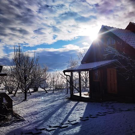 Apartamento Brvnare Stojic Kokin Brod Exterior foto