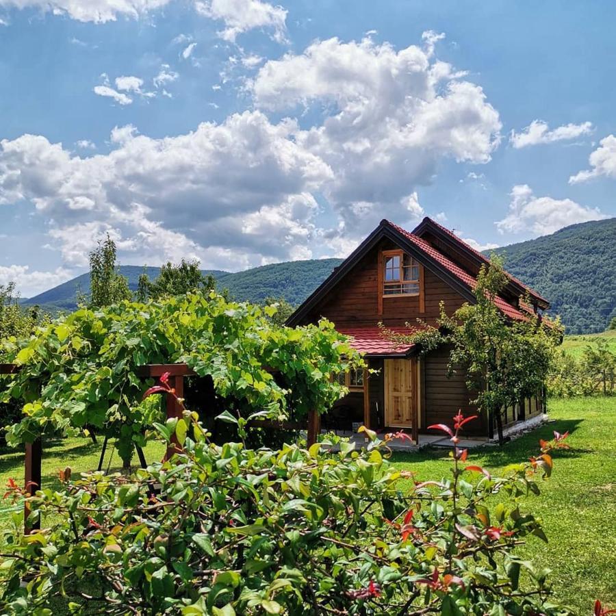 Apartamento Brvnare Stojic Kokin Brod Exterior foto