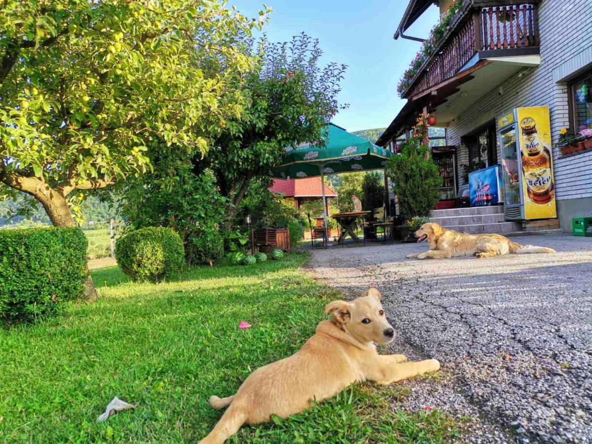 Apartamento Brvnare Stojic Kokin Brod Exterior foto