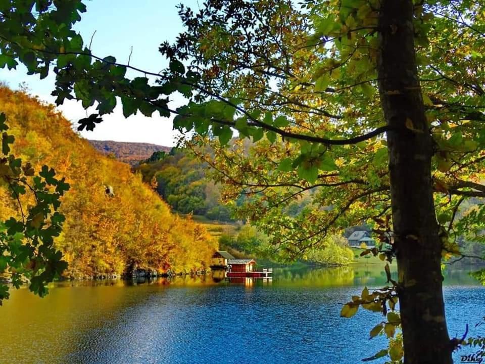 Apartamento Brvnare Stojic Kokin Brod Exterior foto